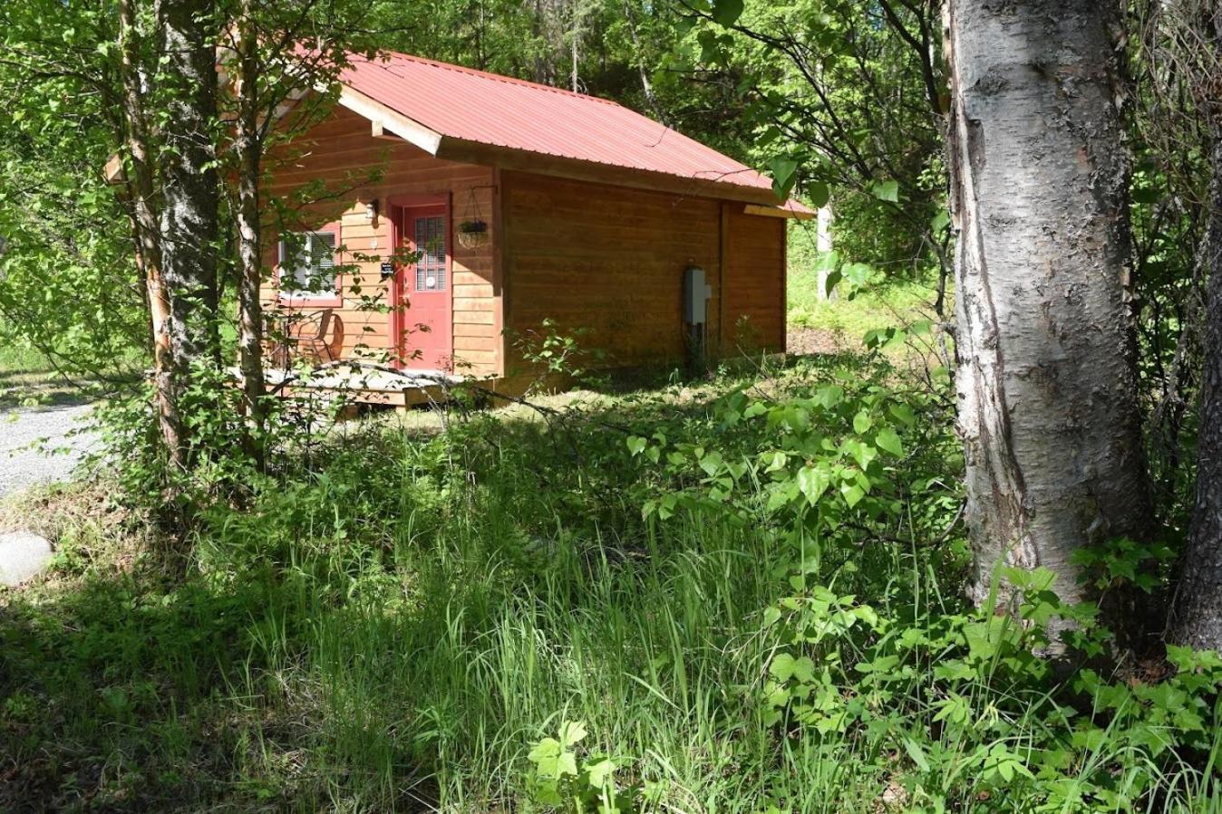 Birch Cabin Talkeetna Bagian luar foto