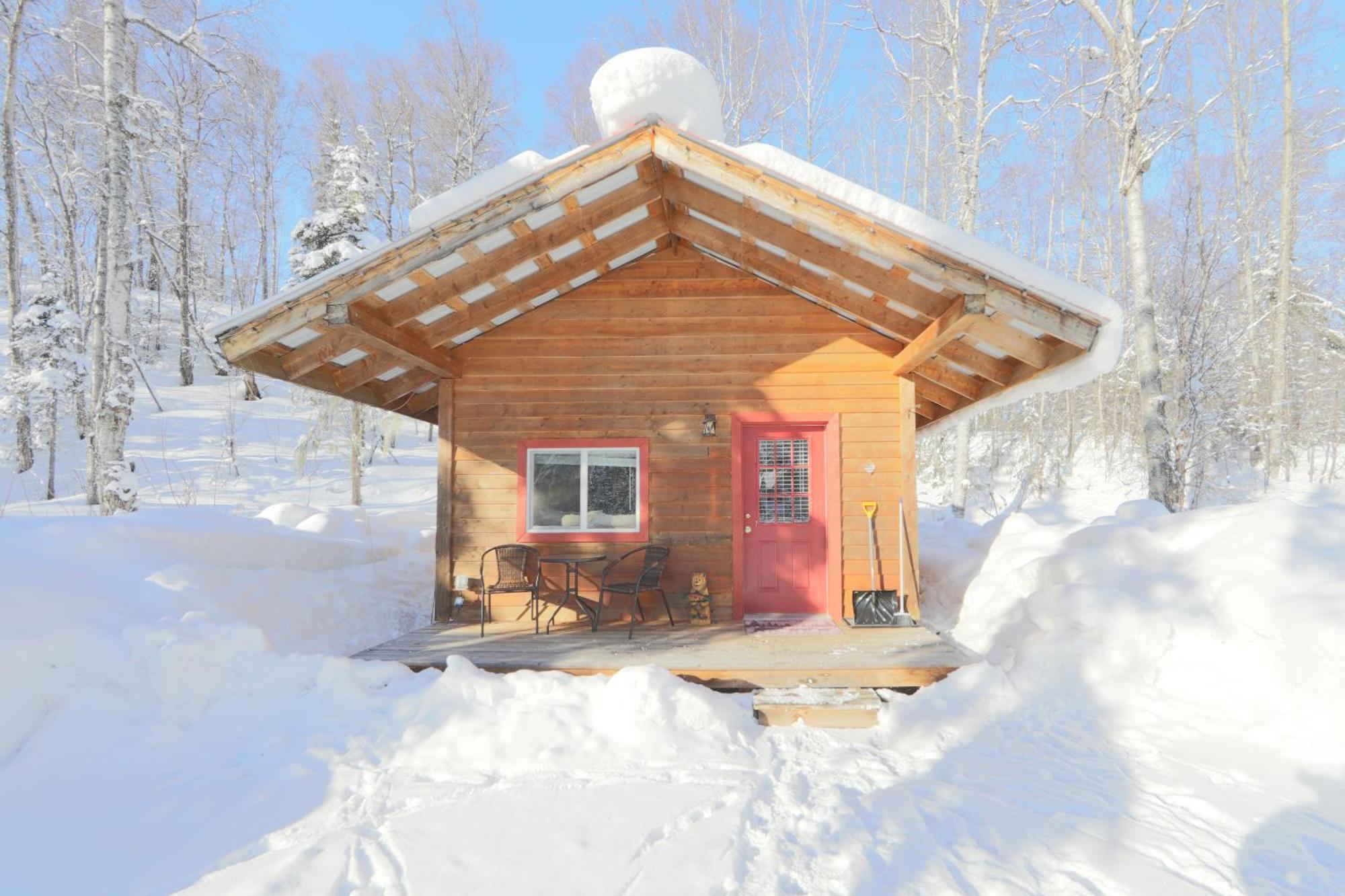 Birch Cabin Talkeetna Bagian luar foto